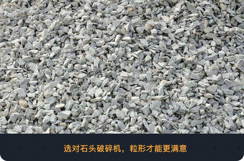 瓜子片成品图 瓜子片成品图